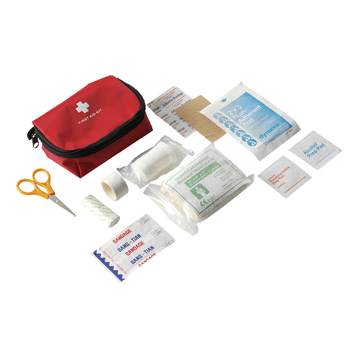 16 Piece First Aid Kit